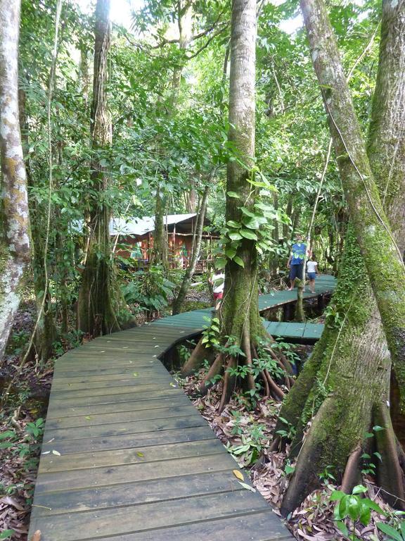 Hotel Casa Perico Rio Dulce Ngoại thất bức ảnh